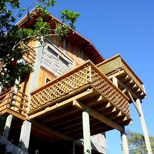 https://morada-da-laika.santa-catarina-brasil.com